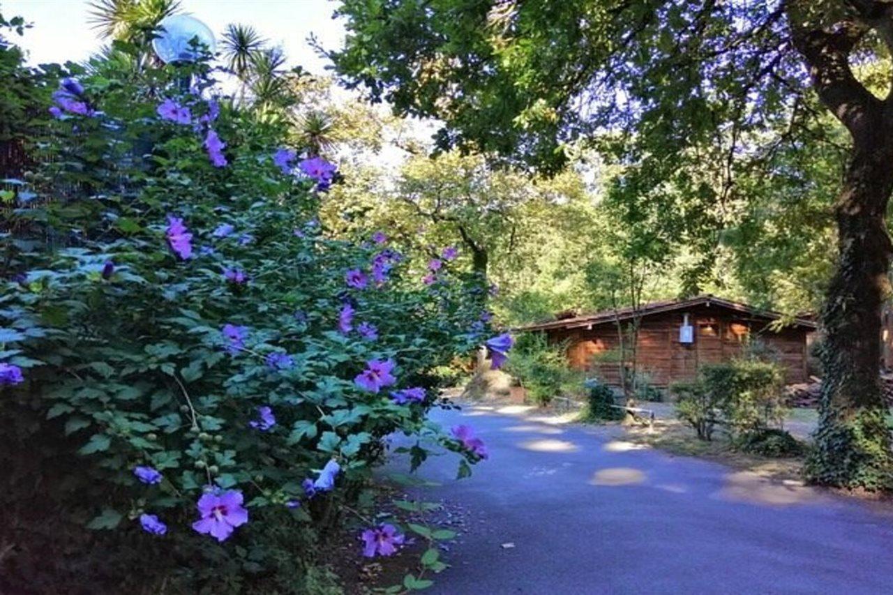 Seven Hills Village Рим Екстер'єр фото